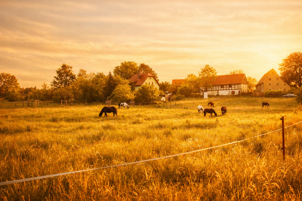 Ausblick Ferienwohnungen am Weinberg