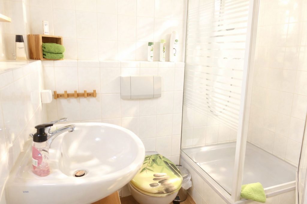 Bad mit Dusche - Ferienwohnung am Weinberg in Dresden